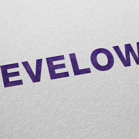 Revelow Corp Logo